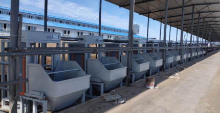 牛用料肉比测定系统WL-CD-Y03